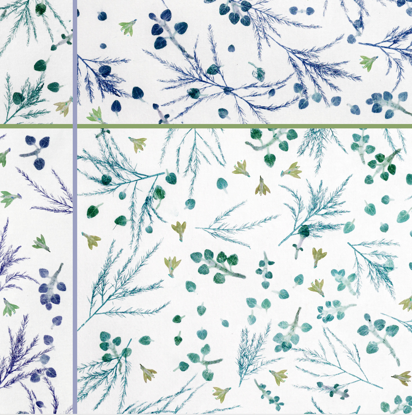 Oregano, Asparagus and Bluebells