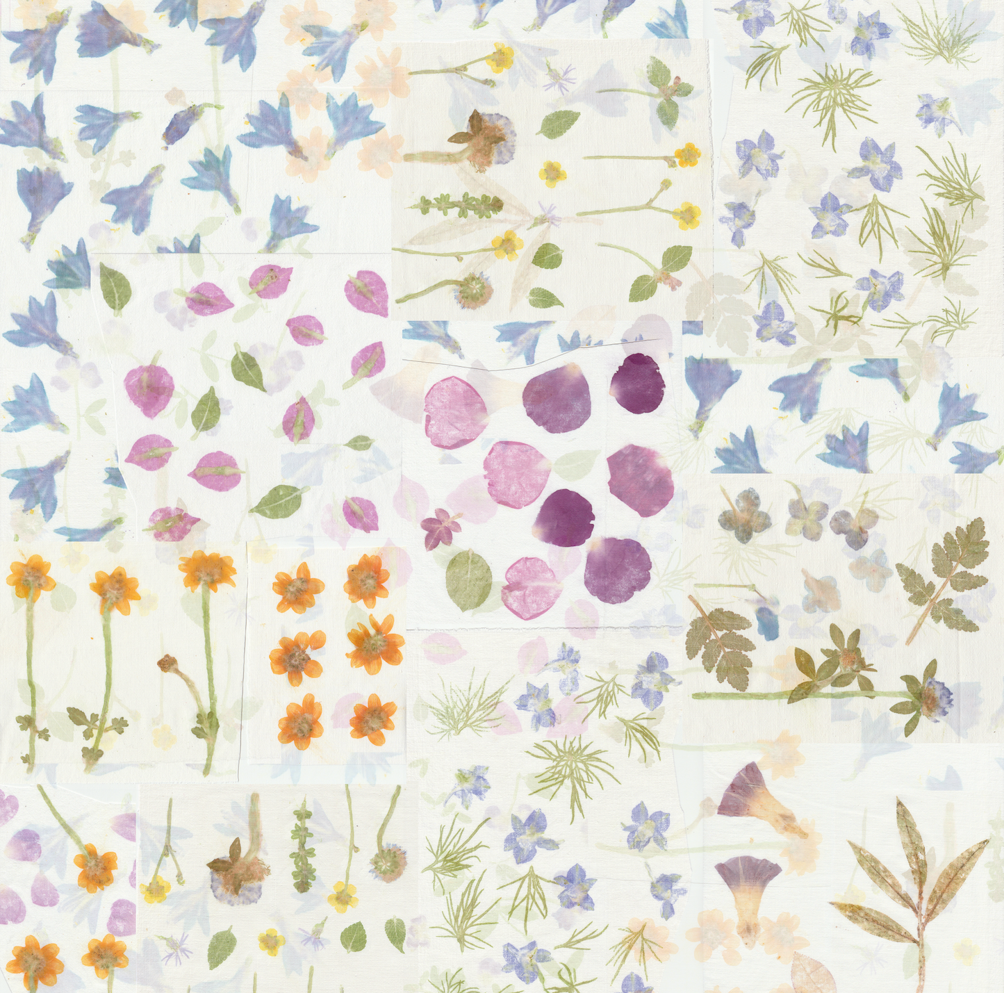 Summer flowers - white