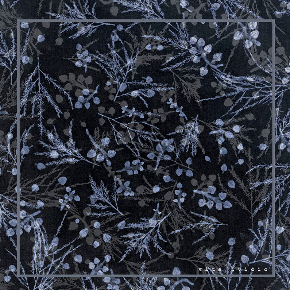 Oregano and Asparagus in blue