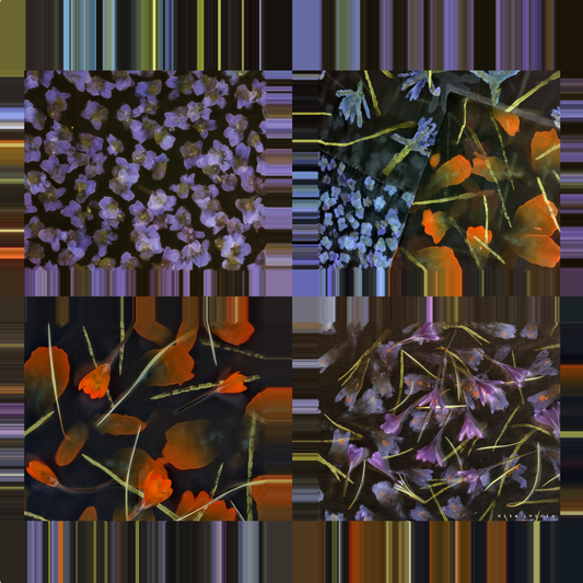 Crocuses and Violets