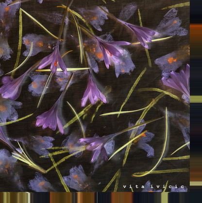 Crocuses and Violets