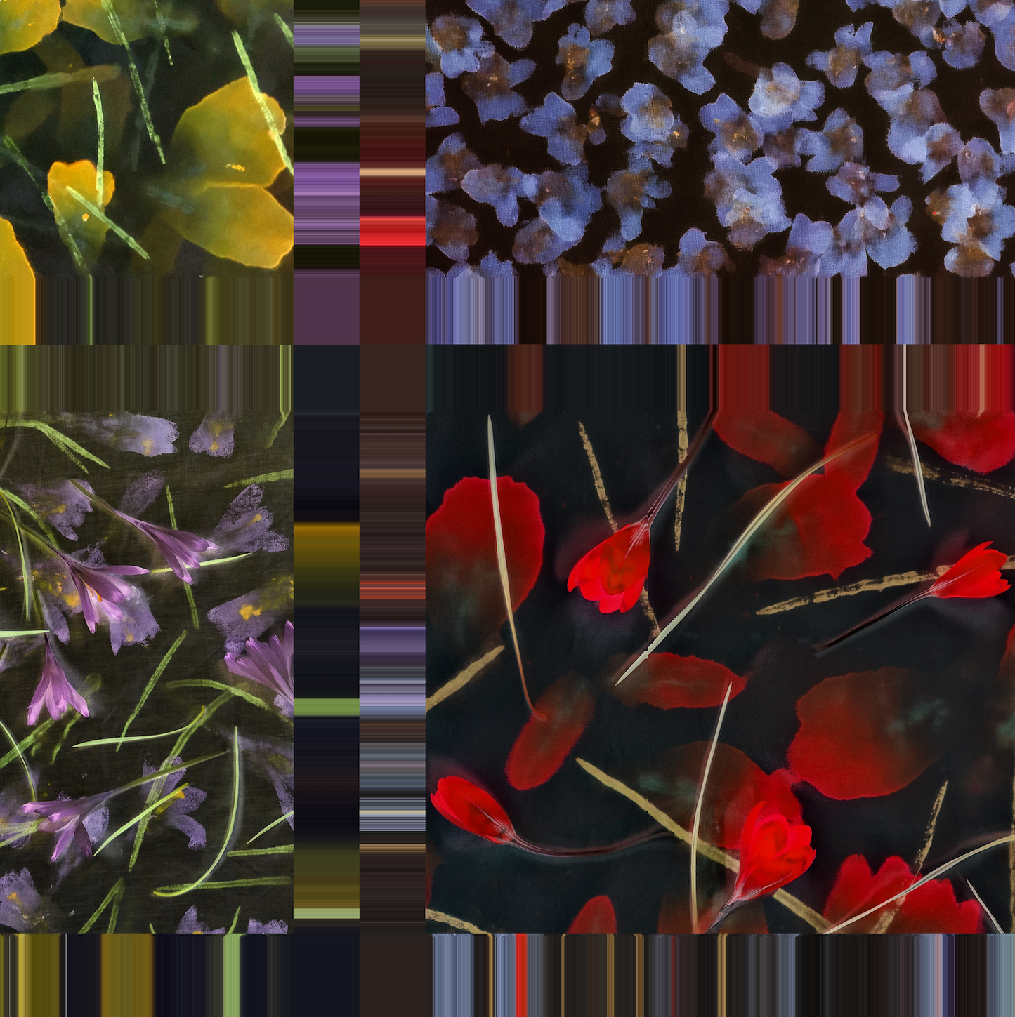 Crocuses and Violets