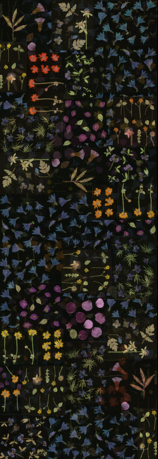 Summer flowers - black