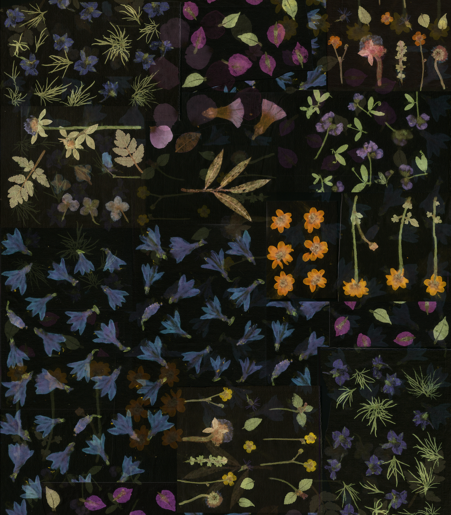 Summer flowers - black