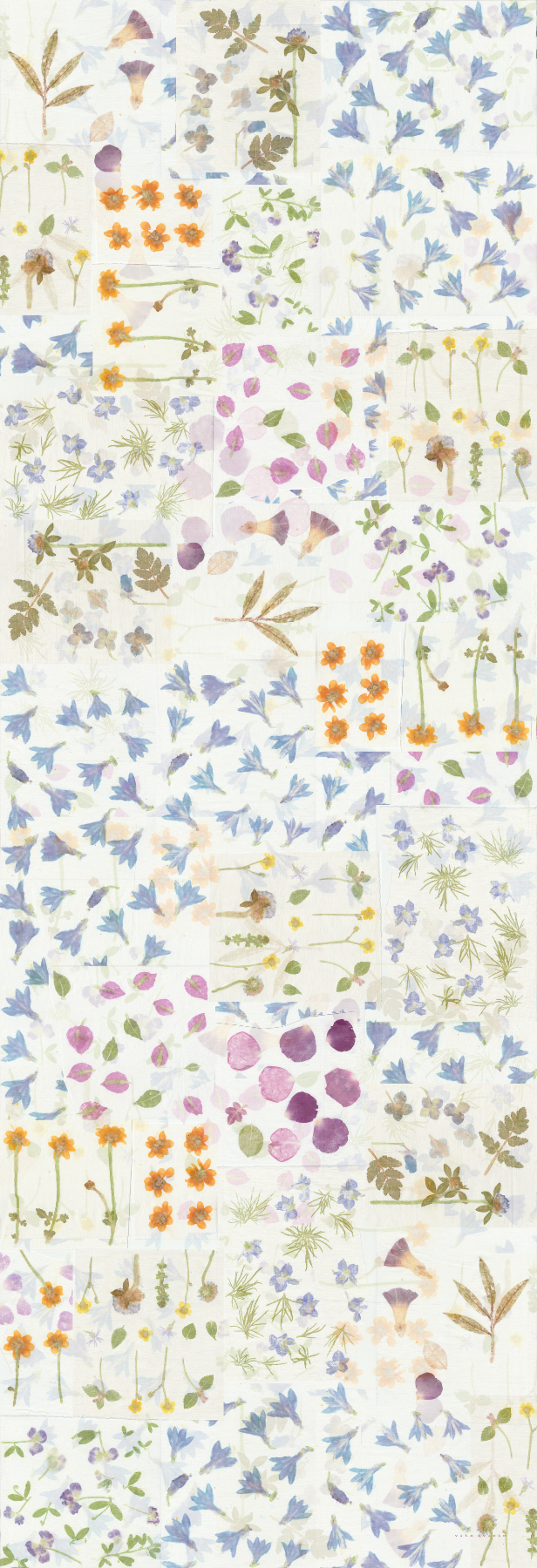 Summer flowers - white