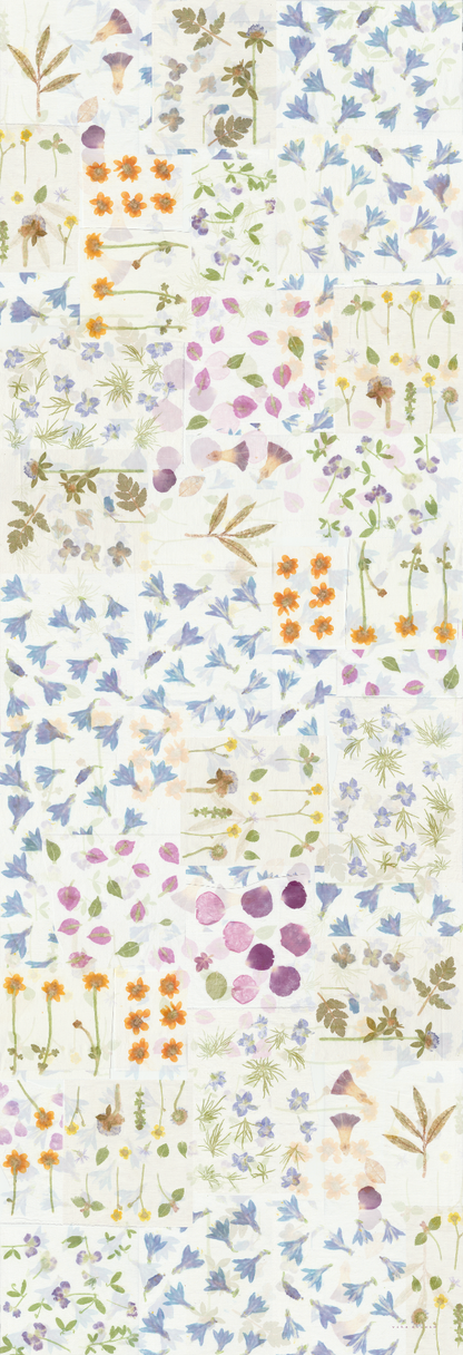 Summer flowers - white