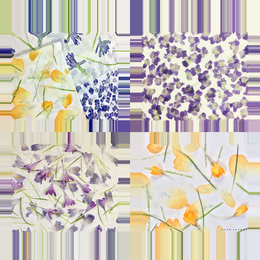 Crocuses and Violets