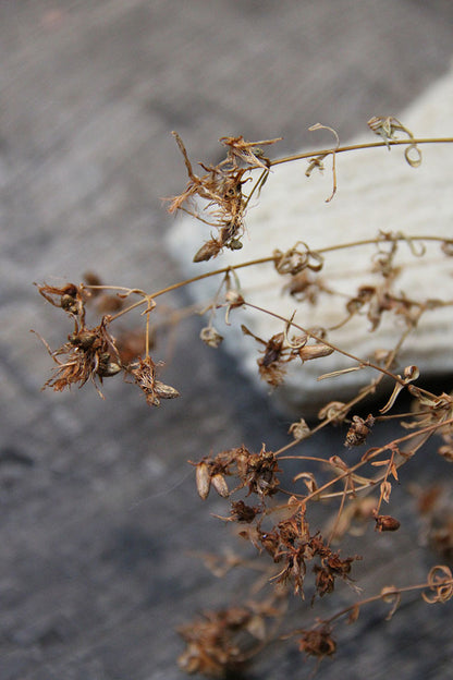 HAND KNITTED MITTENS