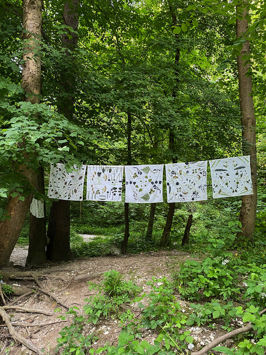 Naredi si svojo cvetlično ruto / 13. junija ob 10h v okolici Bele krajine