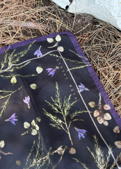 Bluebells, Oregano and Asparagus in black
