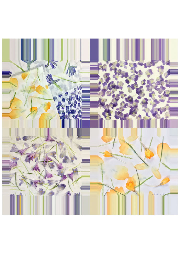 Crocuses and Violets