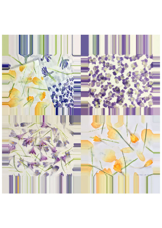 Crocuses and Violets